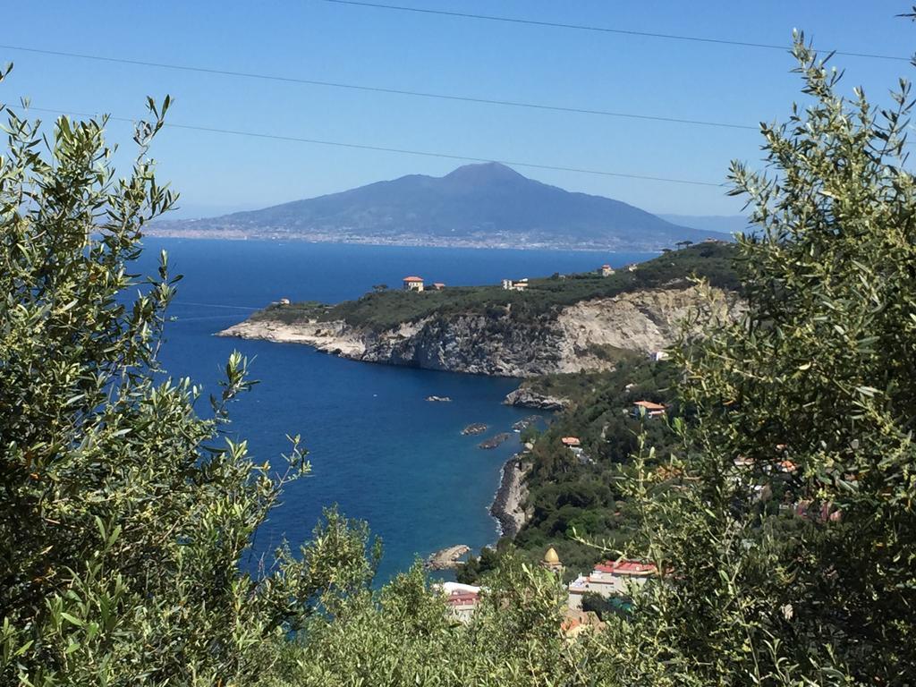 De Maria House Bed & Breakfast Sant'Agata sui due Golfi Luaran gambar